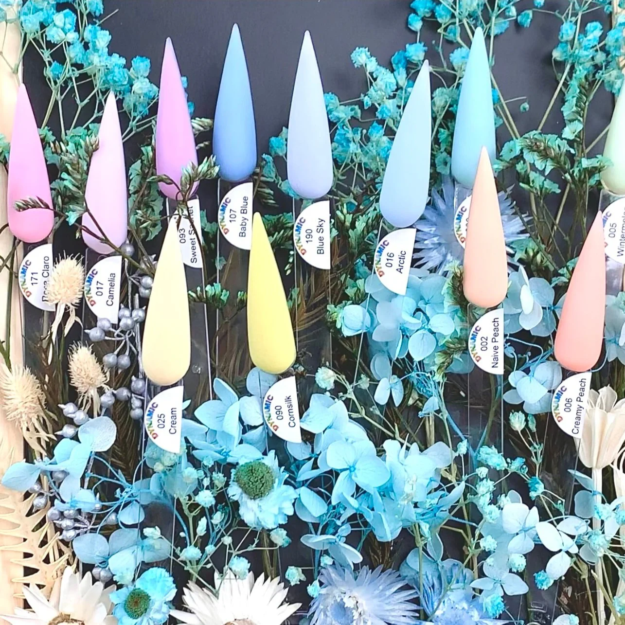 Thumbnail 12